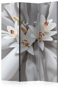 Paraván - Sensual Lilies [Room Dividers]