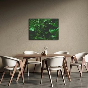 Obraz - Palmové listy (70x50 cm)