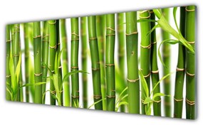 Obraz plexi Bambusové výhonky listy bambus 125x50 cm