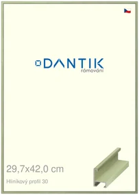 DANTIK rám na obraz 29,7x42 | ALU Dýha barevná zelená pastel (Plexi Čiré)