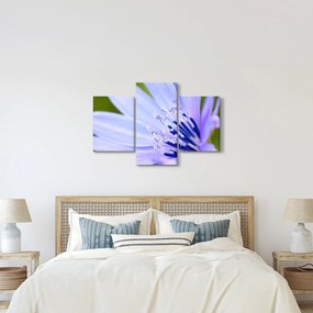 Obraz - kvet (90x60 cm)