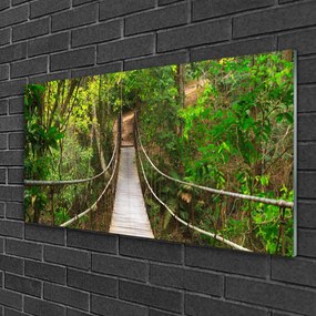 Skleneny obraz Most džungľa tropický les 100x50 cm