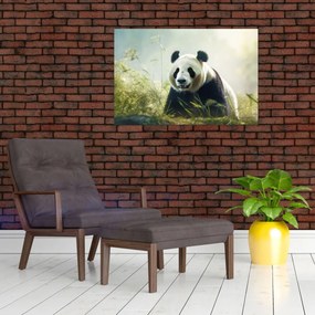 Obraz - Panda (90x60 cm)