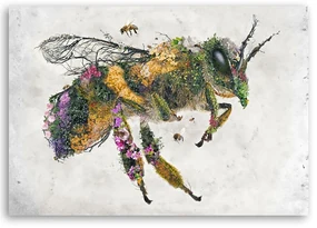 Gario Obraz na plátne Kvetinová včela - Barrett Biggers Rozmery: 60 x 40 cm