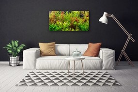 Obraz Canvas Akvárium rybičky rastliny 140x70 cm