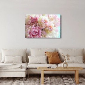 Obraz - Pivonky (90x60 cm)