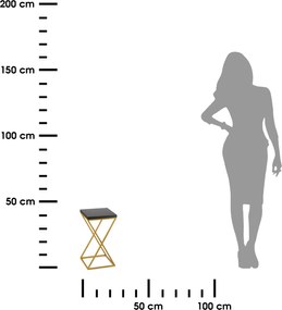 STOJAN NA KVETINÁČ LOFT6 40X24X24 CM ZLATÁ/ČIERNA