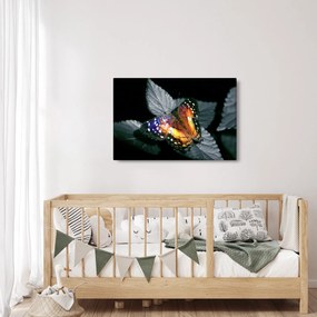 Obraz motýľa (90x60 cm)