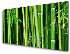 Sklenený obklad Do kuchyne Bambusový les bambus príroda 140x70 cm