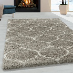 Béžový koberec 160x230 cm Salsa – Ayyildiz Carpets