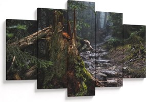 Obraz - V lese (150x105 cm)