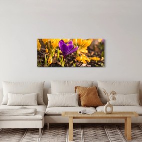 Obraz fialovej kvetiny (120x50 cm)