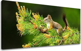 Obraz na stenu PANORÁMA ZVIERATÁ ZV013E13