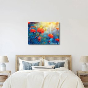 Obraz - Oranžové kvety (70x50 cm)