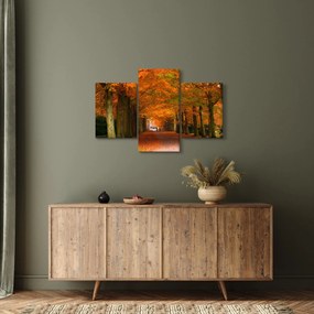 Obraz - Jeseň Alej stromov (90x60 cm)