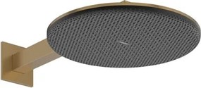 Hansgrohe Raindance Alive S hlavová sprcha na stenu vrátane sprchového ramená kartáčovaný bronz 24540140