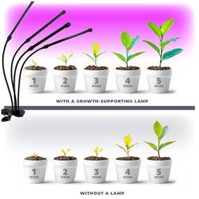 LED Stmievateľná lampa s klipom na pestovanie rastlín VITARO 4xLED/10W/230V čierna