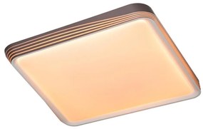 Rabalux 71166 - LED stropné svietidlo DRUZOR LED/40W/230V 3000K