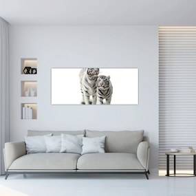 Obraz - Biely tiger (120x50 cm)