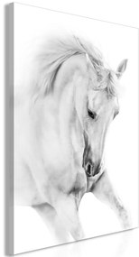 Obraz - Biely kôň 80x120