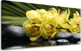 Obraz na stenu PANORÁMA FENG SHUI FS012E13