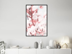 Artgeist Plagát - Blooming Cotton [Poster] Veľkosť: 20x30, Verzia: Zlatý rám