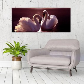Obraz - Labute na jazere (120x50 cm)
