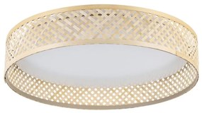 Eglo 900464 - LED Stropné svietidlo LUPPINERIA LED/24W/230V
