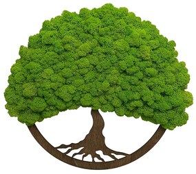 Nástenný obraz machový strom života 50 cm