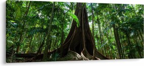 Obraz - Korene stromu (120x50 cm)