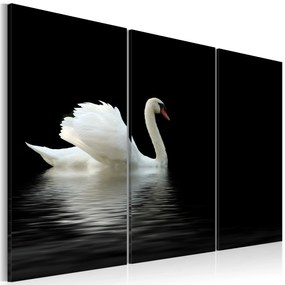 Artgeist Obraz - A lonely white swan Veľkosť: 120x80, Verzia: Na talianskom plátne