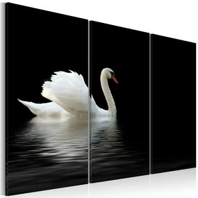 Artgeist Obraz - A lonely white swan Veľkosť: 120x80, Verzia: Standard