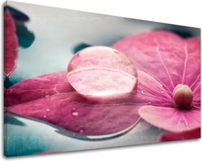 Obraz na stenu KVETY KV044E11 - 60x90 cm