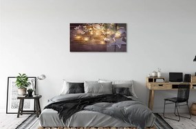 Sklenený obraz Čačky kužeľov doska svetiel 100x50 cm