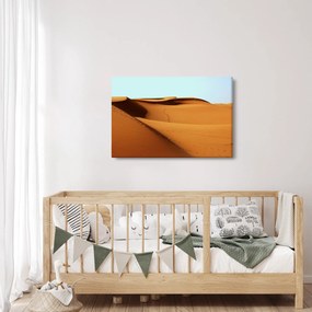 Obraz - Stopy v púšti (90x60 cm)
