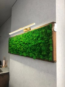 Toolight Toolight, LED kúpeľňové nástenné svietidlo nad zrkadlo 40cm 8W 1200lm 4000K APP833-1W, zlatá, OSW-07011