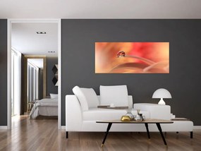 Obraz kvetinové kvapky rosy (120x50 cm)