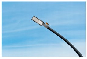 Germina LED pouličná lampa / lampáš HERMETIC 100W sivá 10000lm 5000K