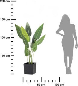 Květináč FLORE RIFLO 24,7x25,6 cm černý