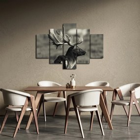 Obraz - Jeleň (150x105 cm)