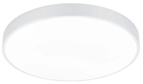 WACO M | Stropné LED svietidlo Farba: Biela