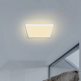Stropné LED Sapana, hranaté, stmievateľné, biela