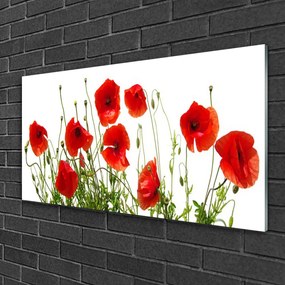 Skleneny obraz Maky kvety príroda 125x50 cm