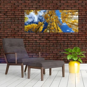 Obraz - Aspen (120x50 cm)
