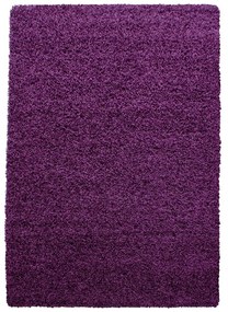 Tmavofialový koberec 80x150 cm Life – Ayyildiz Carpets