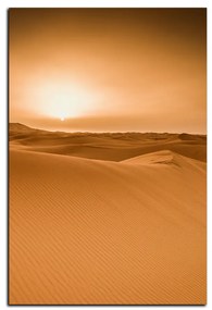 Obraz na plátne - Púšť Sahara  - obdĺžnik 7131A (120x80 cm)