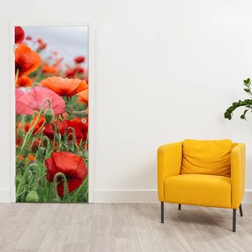 Fototapeta na dvere - Pole vlčích makov (95x205cm)