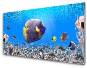 Obraz na akrylátovom skle Ryba príroda 140x70 cm