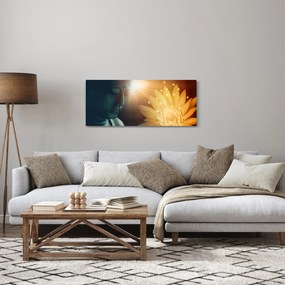 Obraz - Mier (120x50 cm)