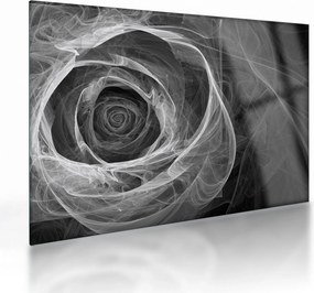 Sklenený obraz - Abstraktné ruže čiernobiela (70x50 cm)